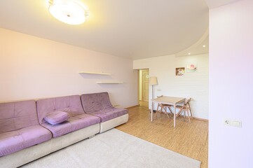 standard interior apartment. living room with sofa