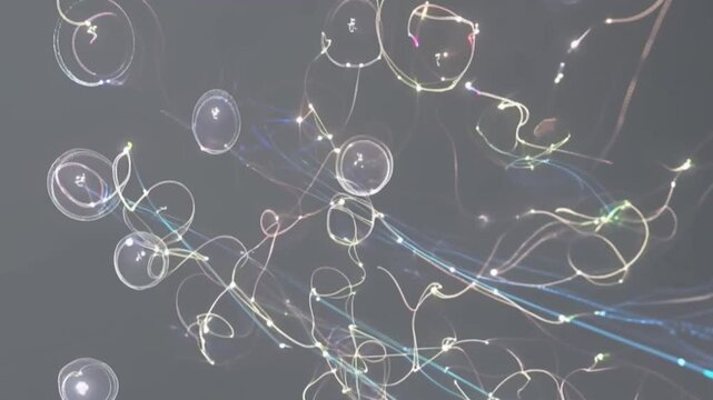 Digital Brain Simulations: Mapping the Mind