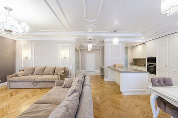 standard interior apartment. living room with sofa