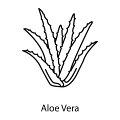 Vector Icon for Aloe Vera: Natural Healing and Hydration for Skin.