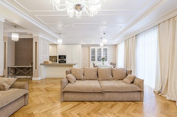 standard interior apartment. living room with sofa