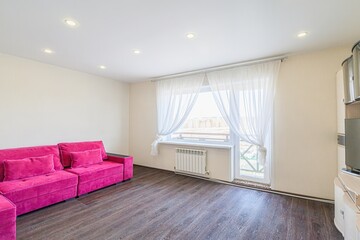 standard interior apartment. living room with sofa