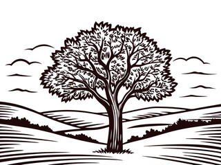 Obraz premium Majestic tree in rolling countryside with cloudy sky and wide landscape view.