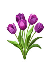 bouquet of tulips