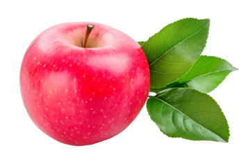 a bright red apple with a green leaf and a short brown stem isolated on a white background