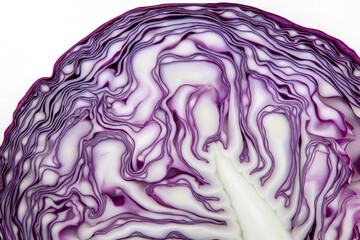 A cross-section of a red cabbage head isolated on a white background