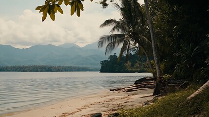 Tranquil tropical shoreline scene with lush vegetation.