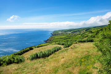Fototapeta premium West coast at Feteiras, Sao Miguel Island, Azores, Portugal, Europe.