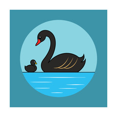 Beautiful swan cygnets calm blue water vector art illustration