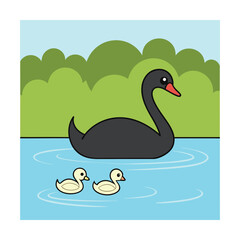 Beautiful swan cygnets calm blue water vector art illustration