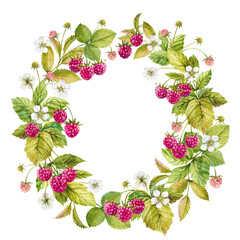 Ripe raspberries on branches with leaves and flowers hand drawn watercolor wreath illustration isolated on white. Fresh red garden berries frame for food, harvest, farm design, cards, invitations