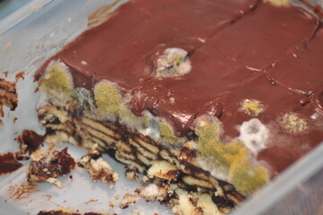Moldy Chocolate Biscuit Cake Showing Severe Food Spoilage