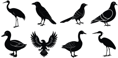 set of birds   vector illustration on white  background , bundle  8 birds  , set bundle 8 birds  silhouette 