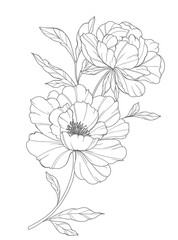 Peony Line Art. Trendy floral peony bouquets and flowers. Botanical Line Drawing Peony Collection. Hand drawn line art peony flowers. Luxury Line Floral Art. Peony Outline