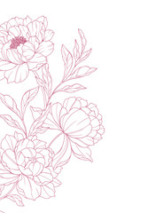 Peony Line Art. Trendy floral peony bouquets and flowers. Botanical Line Drawing Peony Collection. Hand drawn line art peony flowers. Luxury Line Floral Art. Peony Outline