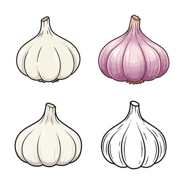 Cartoon garlic bulb with clean outline