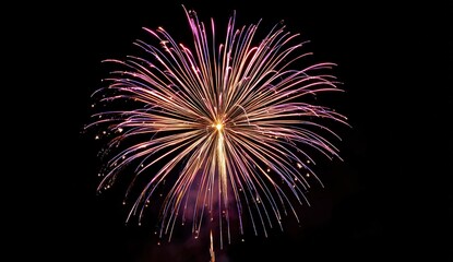 Brilliant burst of colorful fireworks illuminates the night sky.