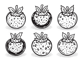 Cranberries line art icon clean linear fruit graphic