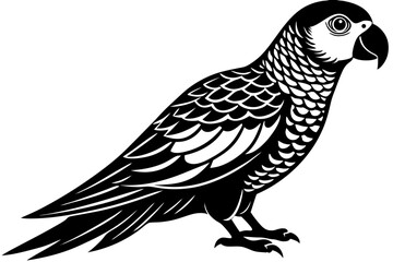 Cute Bird Vector Line Art Illustration – Clipart, Logo Icon, Black and White Bird Drawing