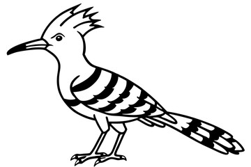 Cute Bird Vector Line Art Illustration – Clipart, Logo Icon, Black and White Bird Drawing