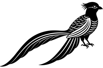 Cute Bird Vector Line Art Illustration – Clipart, Logo Icon, Black and White Bird Drawing