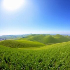 Fototapeta premium Rolling green hills dominate a panoramic landscape under a clear sky.