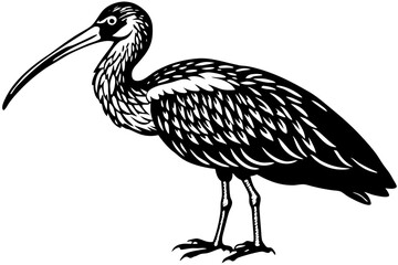 Cute Bird Vector Line Art Illustration – Clipart, Logo Icon, Black and White Bird Drawing