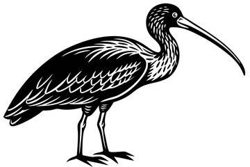 Cute Bird Vector Line Art Illustration – Clipart, Logo Icon, Black and White Bird Drawing