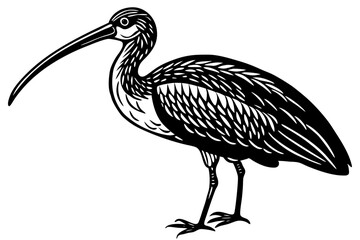 Cute Bird Vector Line Art Illustration – Clipart, Logo Icon, Black and White Bird Drawing