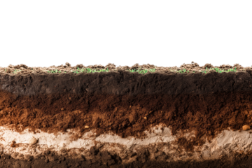 Fertile Dark Brown Humus Soil Base Layer Evenly Spread Out Isolated on transparent Background