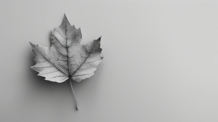 Detailed gray scale leaf simple design