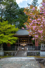 Imamiya Shrine in the suburbs of north Kyoto