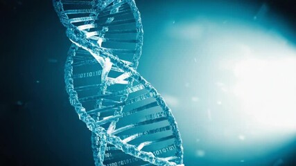 Glowing blue binary code double helix DNA strand, slowly in deep black space, high-tech biotech feel, abstract digital art, soft blue glow, cinematic lighting, 4K detail, futuristic science concept - Powered by Adobe