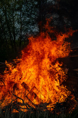 Large fire burning brightly in a forest area during the evening hours