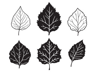 Obraz premium Delicate Cotton Leaf Outline Ideal for Nature Inspired Designs