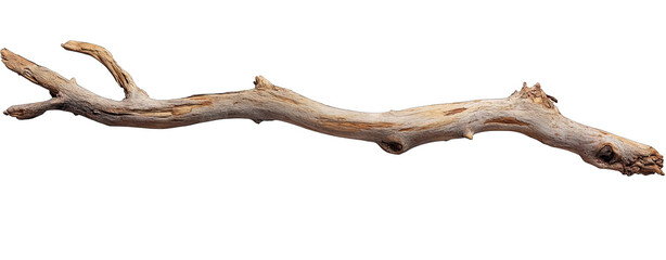 Obraz premium A weathered driftwood branch lies horizontally against a transparent background. showcasing its intricate textures and natural colors. ideal for nature-themed designs and backgrounds