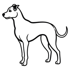 vector illustration of a dog