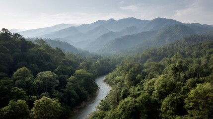 Breathtaking landscape featuring a meandering river cutting through lush forest