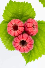 Fresh, red raspberries with green leaves isolated against a white background