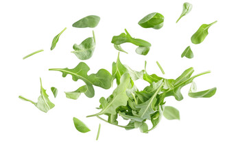 Arugula Descending Mid Air  isolated on a transparent background