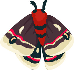 Beautiful Hand-Drawn Colorful Butterfly Illustration with Decorative Wings