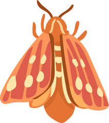 Beautiful Hand-Drawn Colorful Butterfly Illustration with Decorative Wings