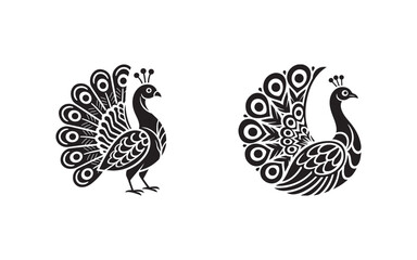 vector illustration of a bird