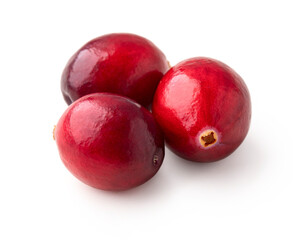 Ripe cranberry isolated on white with clipping path.
