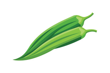 Fototapeta premium green okra isolated on white