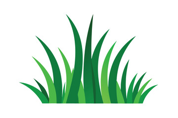 Obraz premium Set of Green Grass Illustration Vector Design