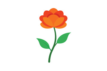 Obraz premium Red Agasta Sesban Vegetable Isolated on White Background