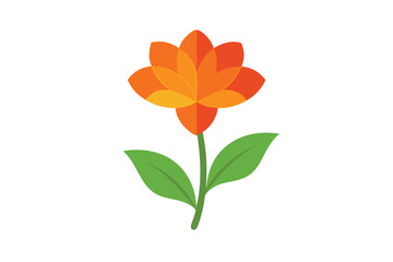 Red Agasta Sesban Vegetable Isolated on White Background