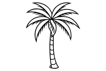 palm coconut tree icon vector art