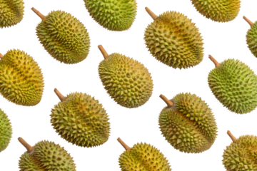 seamless durian pattern on white background
